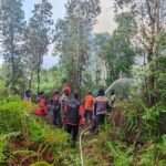 BPBD Kabupaten Sambas dan Tim Gabungan Berjibaku Padamkan Kebakaran Hutan di Kecamatan Paloh